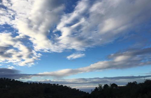 Algarrobo Azul - Foto 29