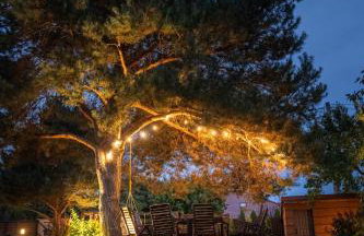 Przystań Świerkowa 14 - Komfortowy Dom blisko Zamku Ćmielów i Bałtowa - Foto 34