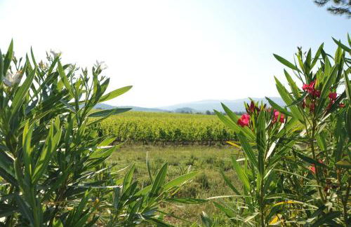 Fattoria Casabianca - Foto 82