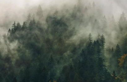 Cano'Py, charmant 2 pièces avec vue montagne en cœur de ville - Foto 2