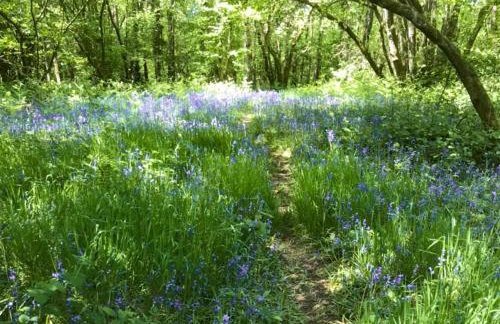 Oak Lodge - Uk13433 - Photo 11