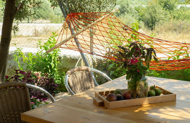 Masal Evimiz Antalya - Photo 54