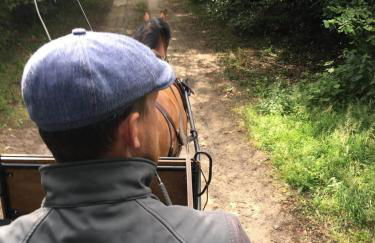 Landhof Kützin Ferienhaus Spatz 1 - Foto 13