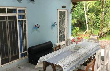 Chácara na Mata Atlântica - Photo 6