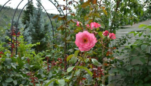 Glückshuuske Sauerland - Foto 3