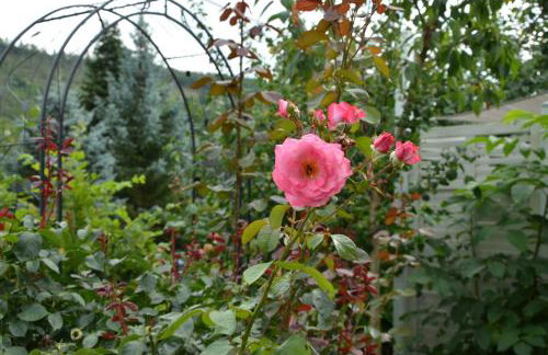 Glückshuuske Sauerland - Foto 3