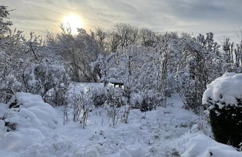 Reetdachhaus auf Eiderstedt - Foto 20