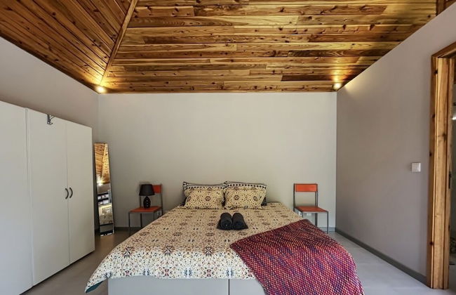 White Rabbit - Photo 1