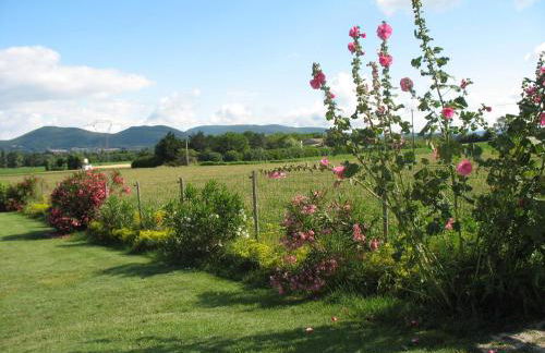 Chez Janie Hirst - Foto 79