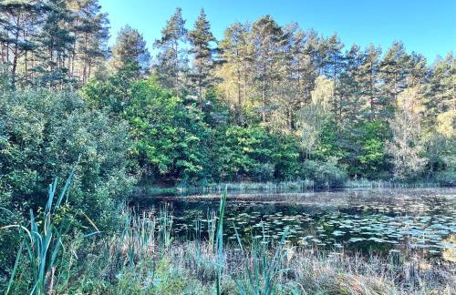 GRANIASTY - nowoczesny dom wakacyjny z basenem - Photo 42