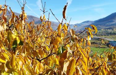 Complejo Rural Las Palomas - Foto 11