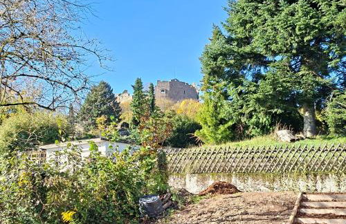 Ferienwohnung Luise unterhalb der Burg Lindenfels - Foto 17