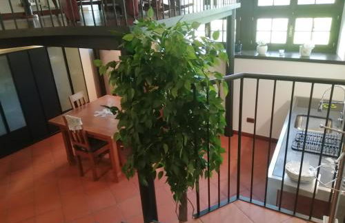 Monastero Maggiore 2 - Foto 5