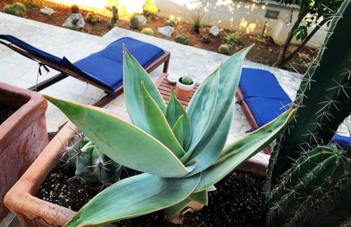 CASA AL MARE RIO b&n - Foto 25