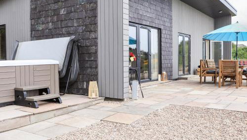 Pine Marten - Photo 2