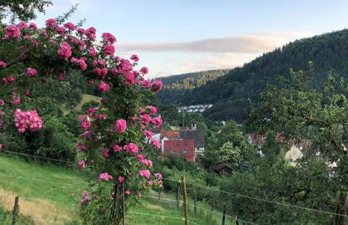 Ferienhaus Waldglück - Foto 16