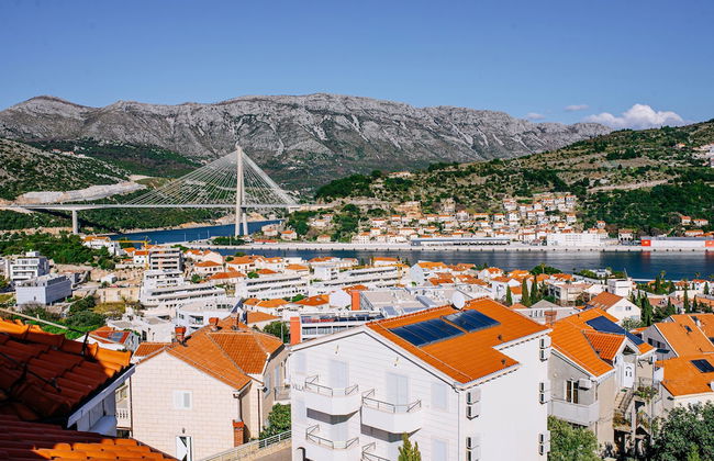 Vila Curic - Foto 64