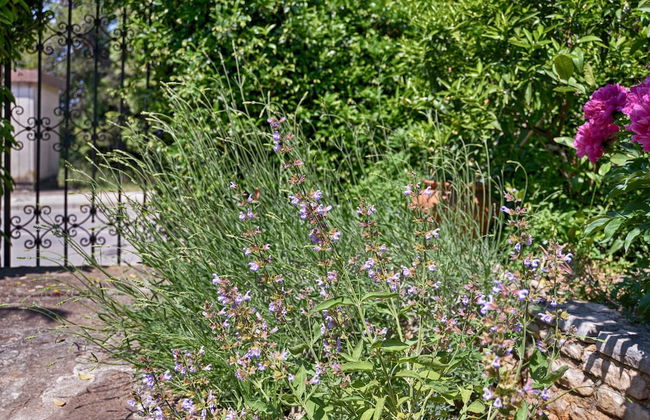 Apartment 1642 - Foto 20