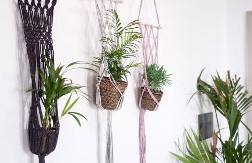 Casa Botanica - Central Island Location - 10 mins drive to Famara and La Santa - Foto 15