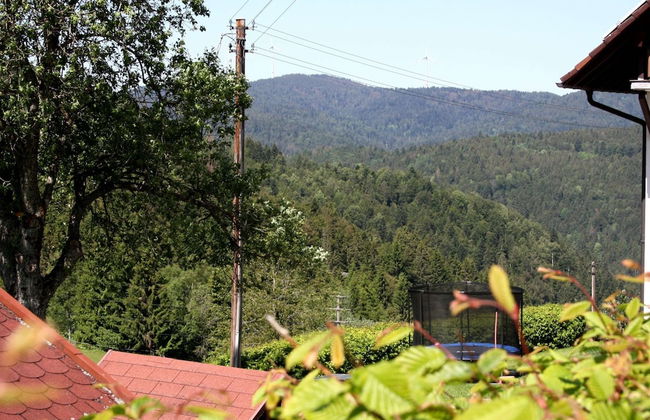 Spacious Apartment in Wehrhalden near Cross Country Skiing - Foto 32