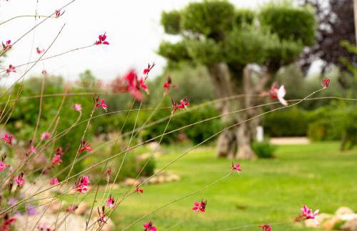 Mas Montbrio Belvedere - Foto 44