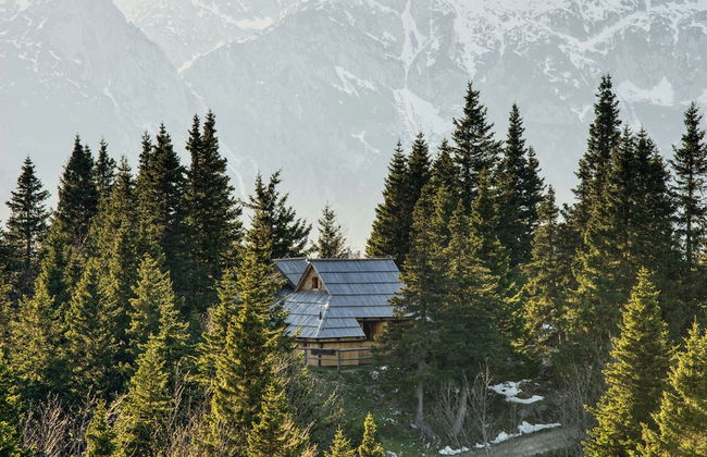 Koca Bistra - Velika planina - Foto 23