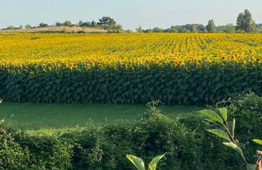 Le Petit Coin with pool, near Aubeterre sur Dronne - Foto 29
