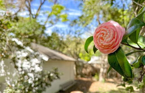 Adorable 1920s home near UF stadium sleeps 10 - Foto 4