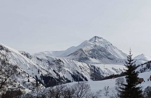 Appart. lumineux à St-Sorlin d'Arves (Sybelles) - Foto 21