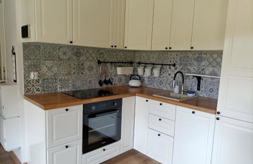 Siedlisko Dwa Żurawie - Uroczy domek nad stawem, z kominkiem, obok konie - Foto 9