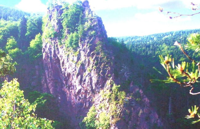 Hunting Chalet No. 19 - Foto 13