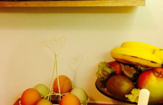 Snowdonia Snug - Foto 8