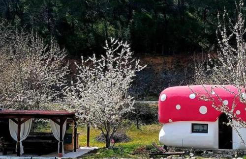 Mushroom house - Sleeps 4 - Pets Ok - Parking - Foto 7