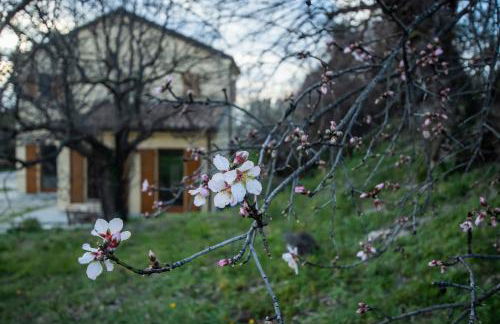 Agriturismo Conero - Foto 37