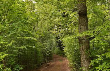 Ferienwohnung Beate 2 - Foto 17