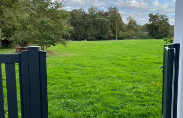 les Palmiers - Foto 18