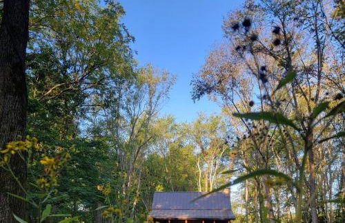 WildWood Cabin - Foto 11