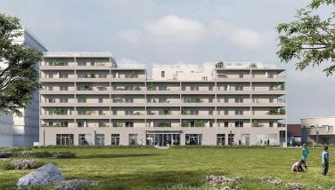 Montana Dijon - Foto 2