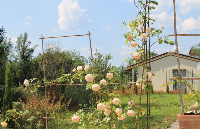 Agriturismo Poggianto - Foto 61