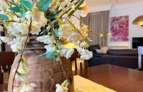 Domus Altiora Centro - Foto 10