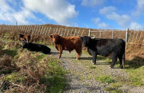 Southend, Mull of Kintyre, Campbeltown - Foto 26