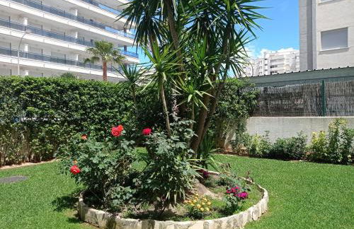 Palmeras III Solo Familias Serviplaya!!! - Foto 32