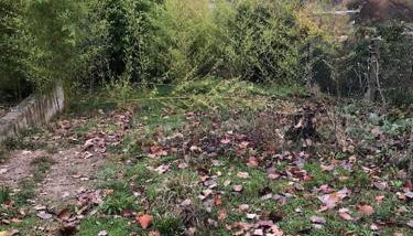 Logement entier entrée autonome ch,sdd,cs privatives - Foto 3