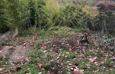 Logement entier entrée autonome ch,sdd,cs privatives - Foto 3