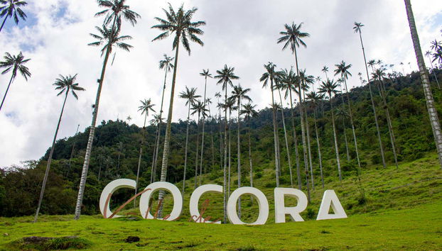 Tour por los miradores de Salento - Foto 3