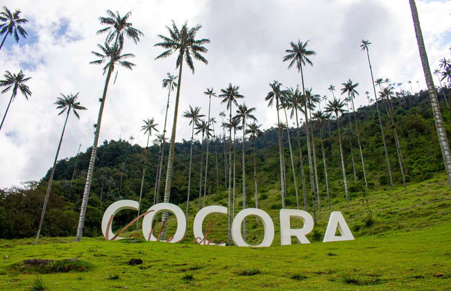 Salento Viewpoints Tour - Foto 3