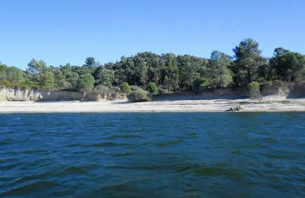 Monte da Tojeirinha - Foto 42