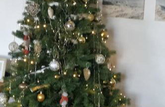 Estuary View Bank House Stunning apartment - Photo 8