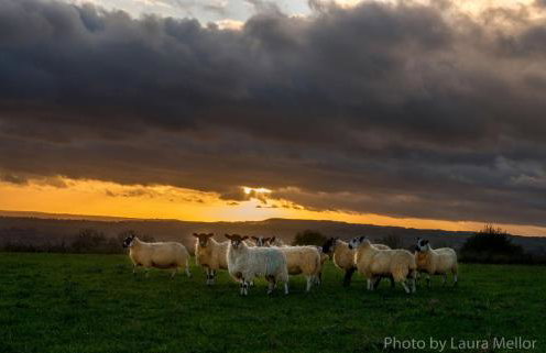 Mulino Pods Exclusive Hire - Foto 43