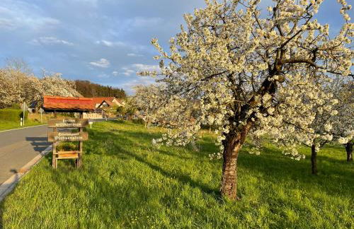 Holzferienhaus - Foto 76